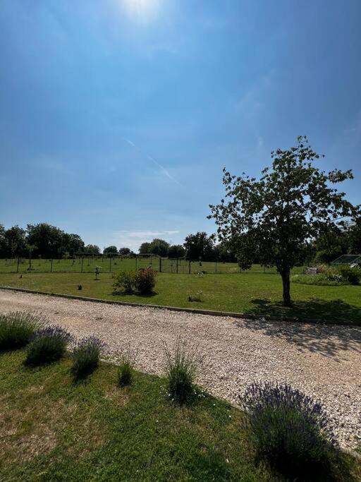 Longere Berrichonne, Calme Absolu, 13 Personnes Villa Saint-Pierre-les-Etieux Exterior photo